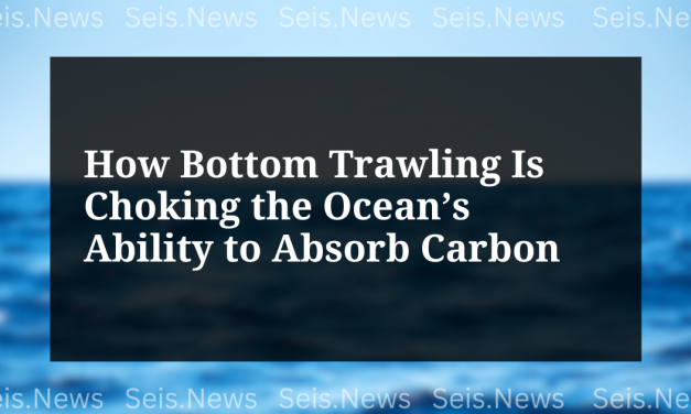 How Bottom Trawling Is Choking the Ocean’s Ability to Absorb Carbon